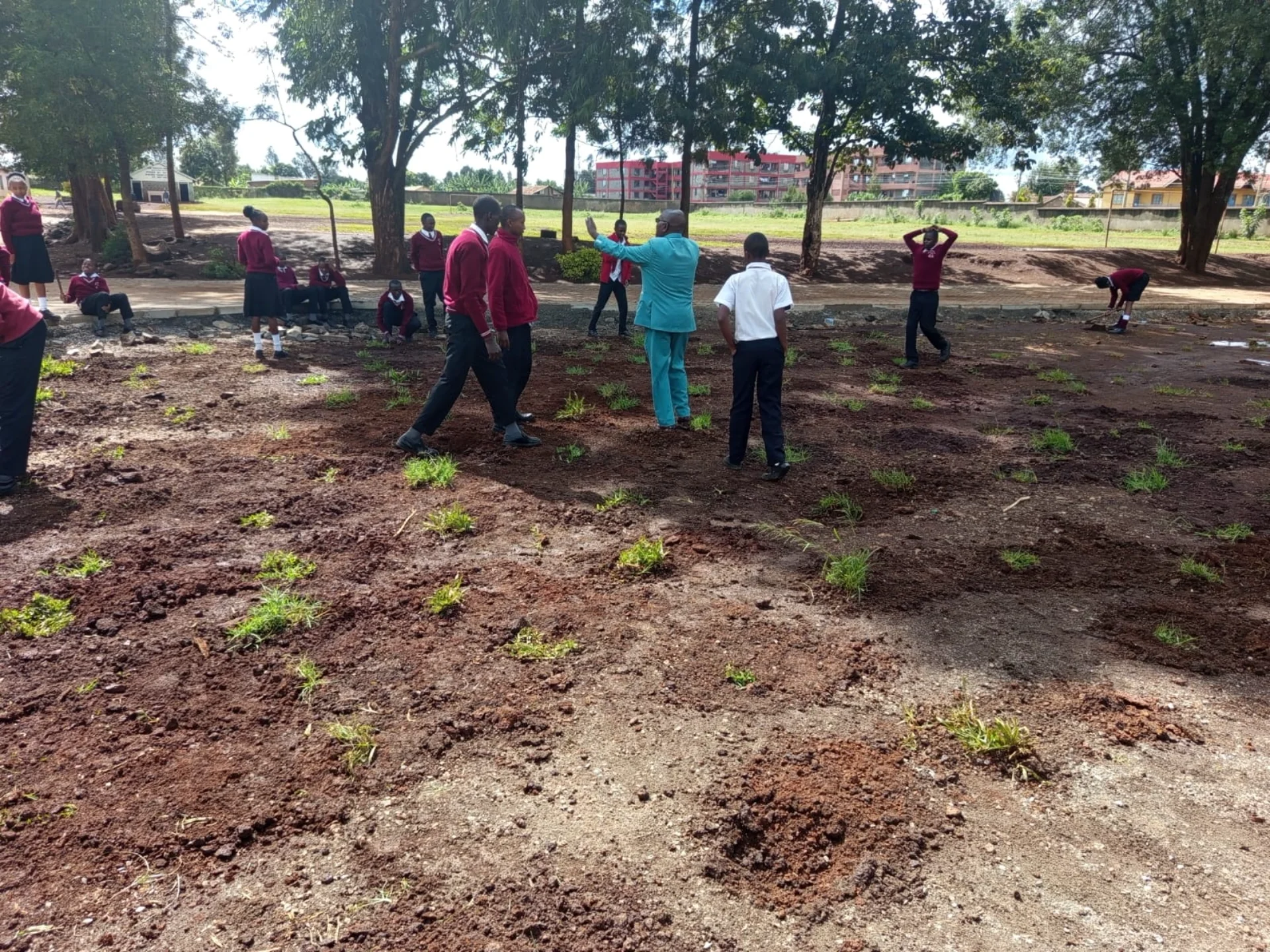 Grade 10 students planting grass on school field
